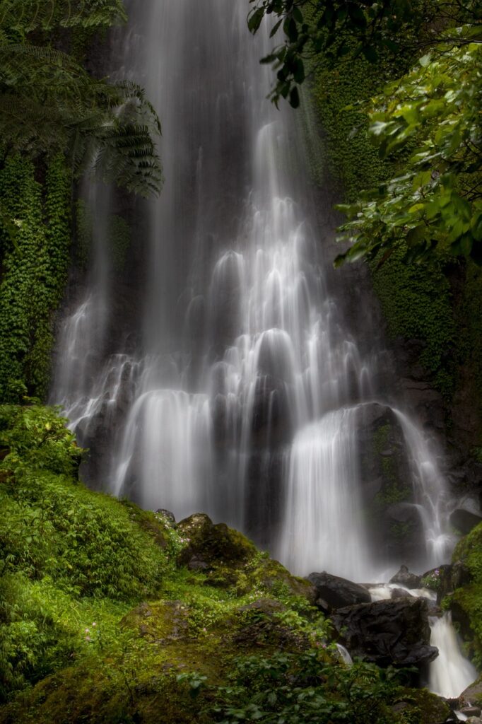 waterfall, water, tree-5229807.jpg
